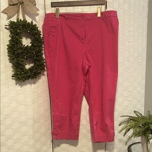 Talbots Pink Ankle Pants 18W